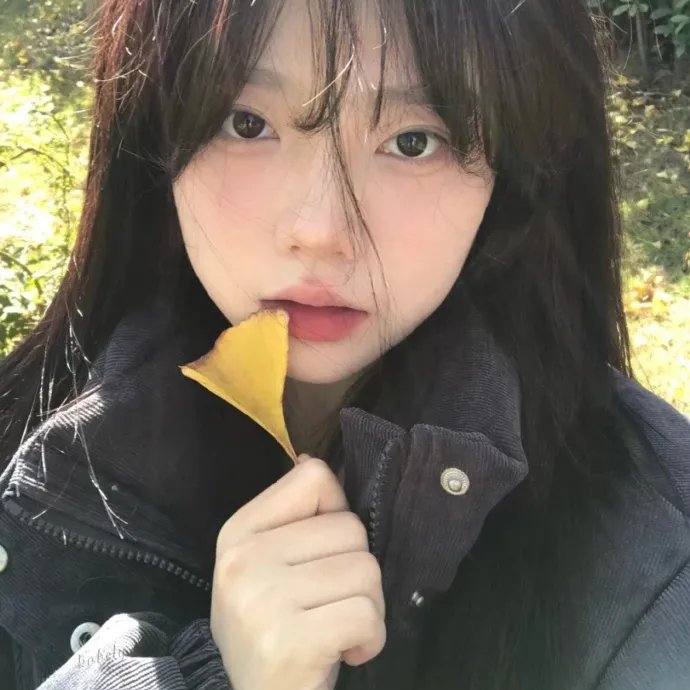 辉煌时代